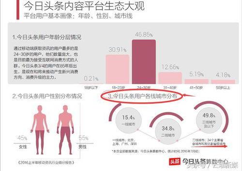 头条垂直度高的意思,头条垂直度高，精准内容引领行业风向标